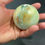 Thumbnail: Caribbean Calcite sphere with glass holder 280grams 58MM diameter 