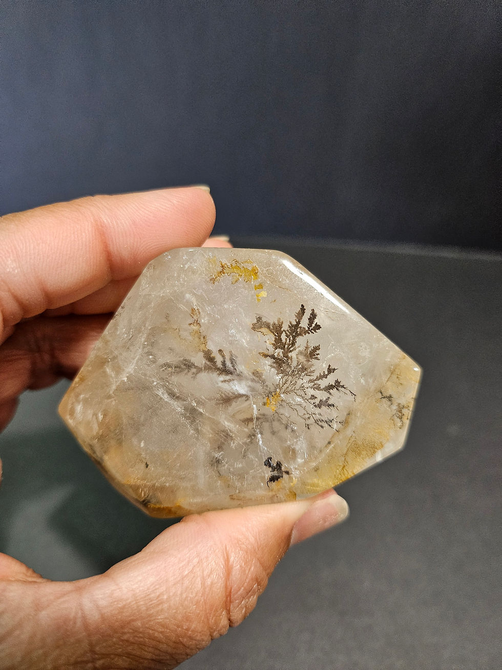 Thumbnail: Dendritic Quartz 