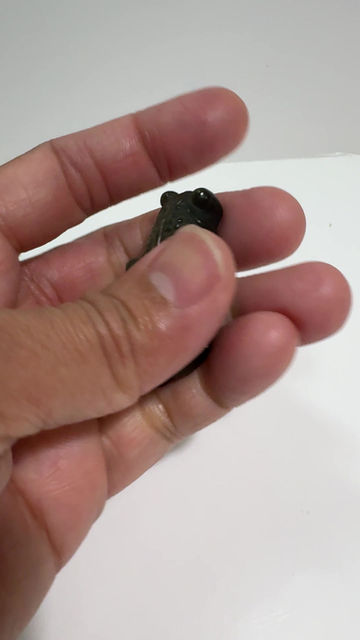 Thumbnail: Golden Obsidian goldfish carving 