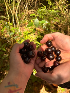 Una experiencia inolvidable para vivir la cultura mbyá, en lo profundo de la selva (6).png