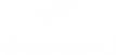 logo goldwind_3x.png