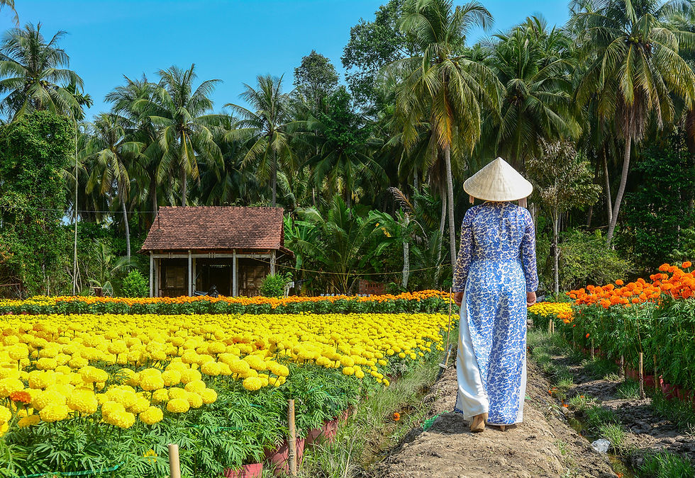 Field