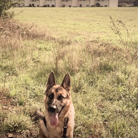 12 von 12 - Oktober 2022