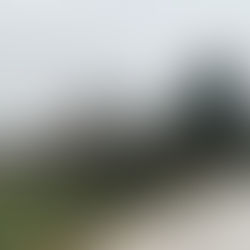 12 von 12 - Januar 2024