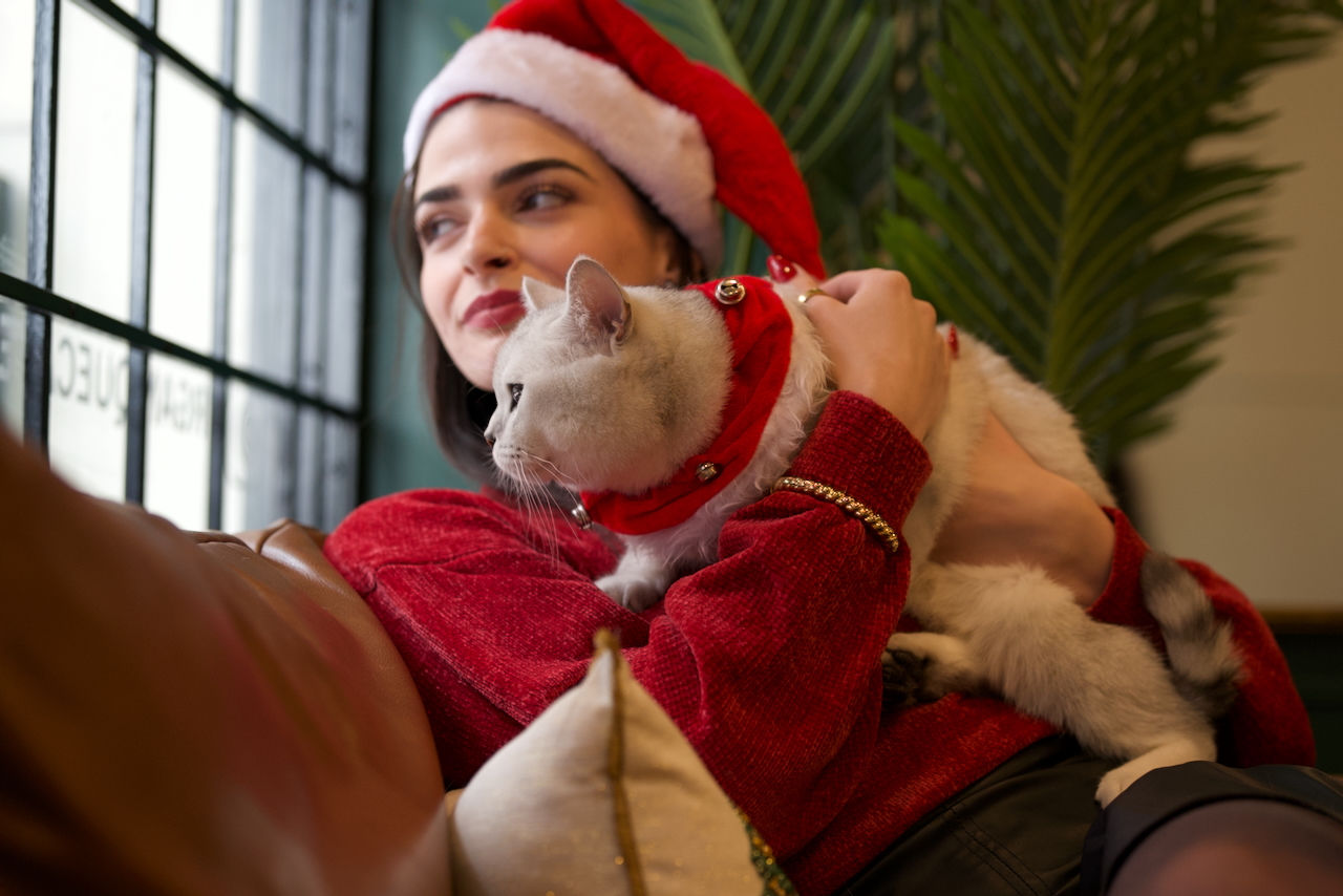 Cat and owner portrait by café window with soft winter light in downtown London Ontario during Christmas pet photoshoot