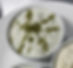 Cucumber & Yogurt ماست و خیار