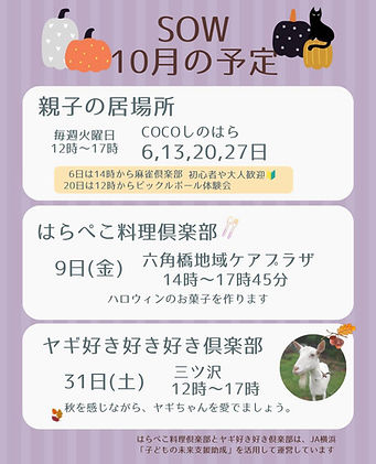 LINE_ALBUM_お知らせ画像_260921_1.jpg
