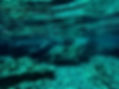 GOPR2092.jpg