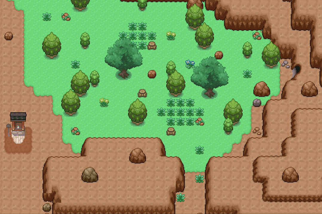 Monutain Forest