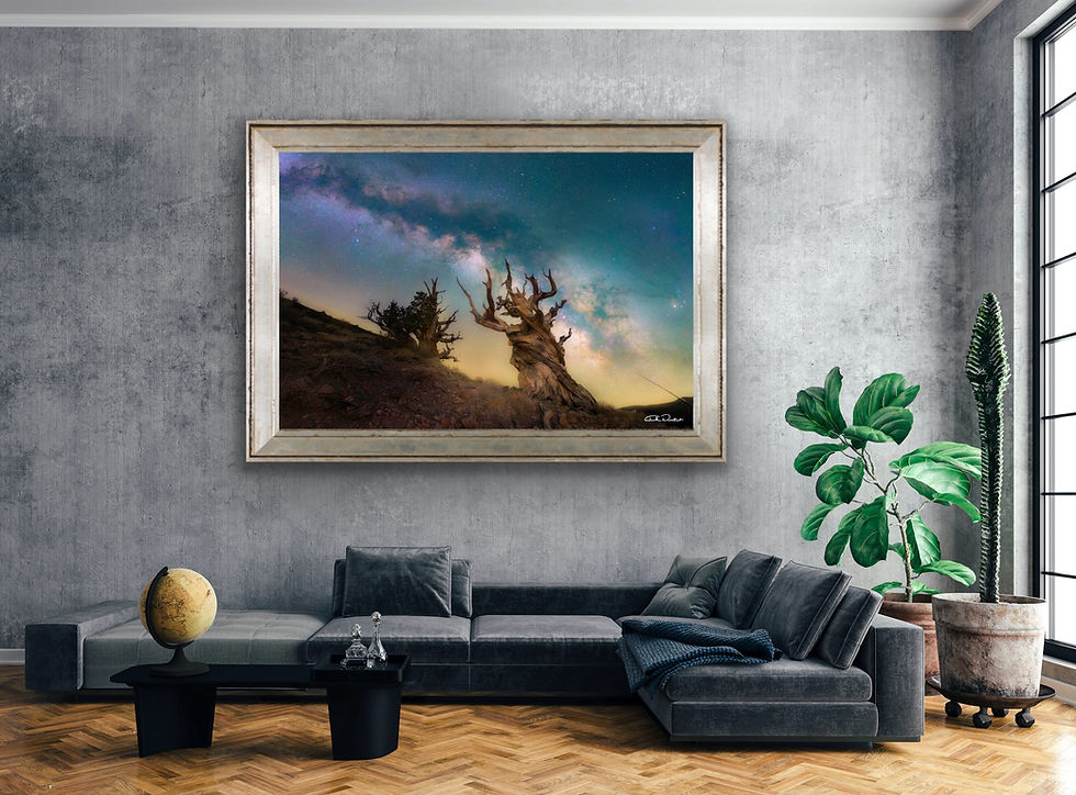 Thumbnail: METHUSELAH