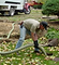 septic service, septic repair, sewer line repair, sewer line service, septic pumping in illinois, pumping in illinois, septic pumping in urbana, champaign-urbana in central illinois