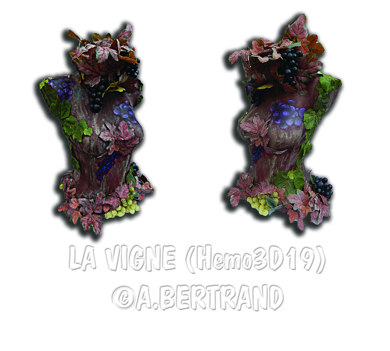 Hemo 3D19 - LaVigne...