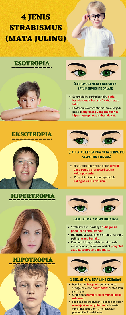Infographic izwanis.png