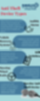 Anti Theft Device Types infographic — Ravelco of Corpus Christi