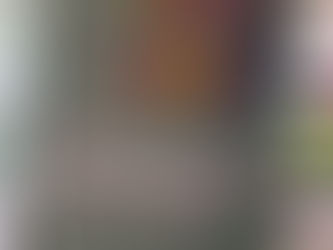 Seminário de Desenvolvimento Institucional – Caminhos para o fortalecimento das organizações sociais.