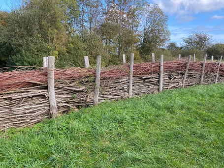 Nær ved 100 forslag modtaget til Klokkedammen - Kvashegn på vej