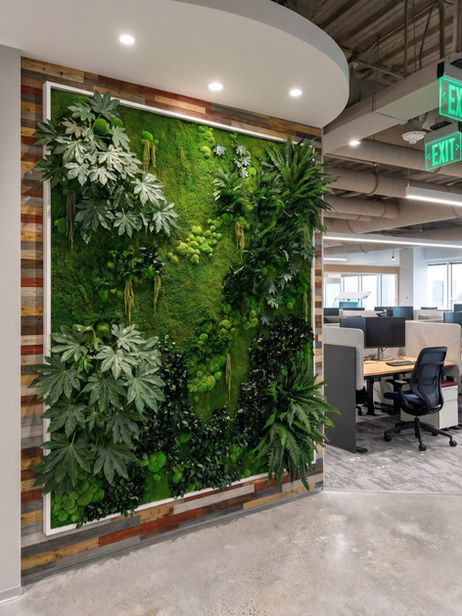 Preserved green wall with mixed foliage and moss installed as a framed feature wall in a modern office interior.
