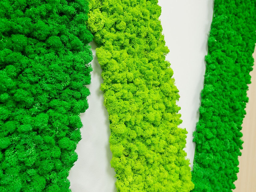 Close-up of green reindeer moss panels showing geometric shapes and contrasting moss colors.