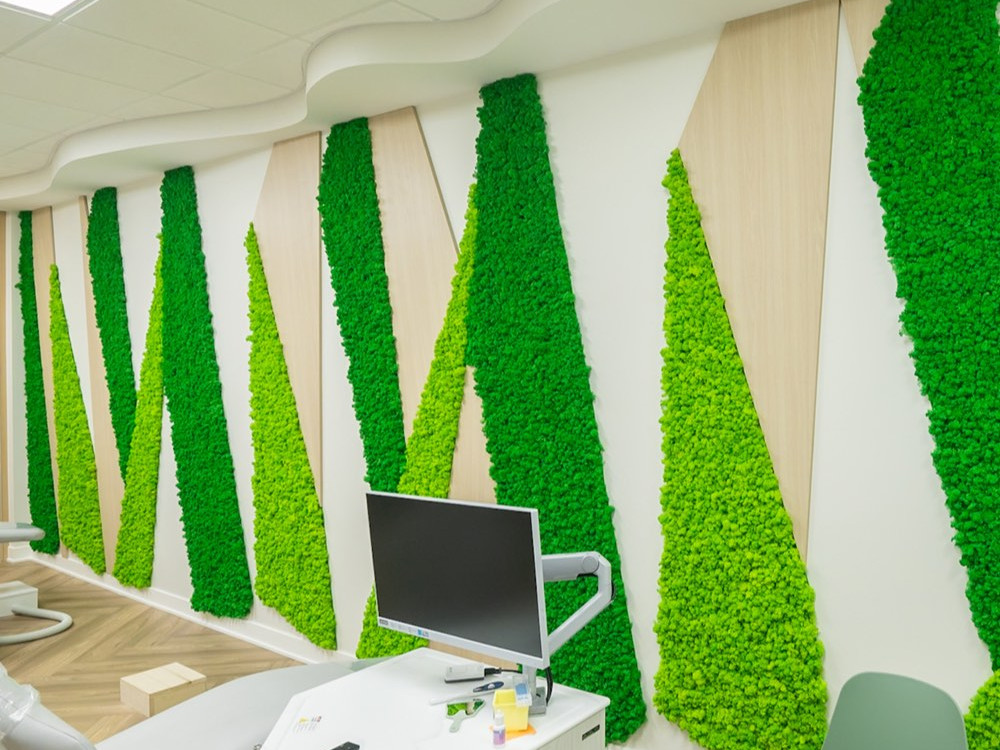 Geometric reindeer moss panels installed in a pediatric dental treatment room for visual and acoustic comfort.