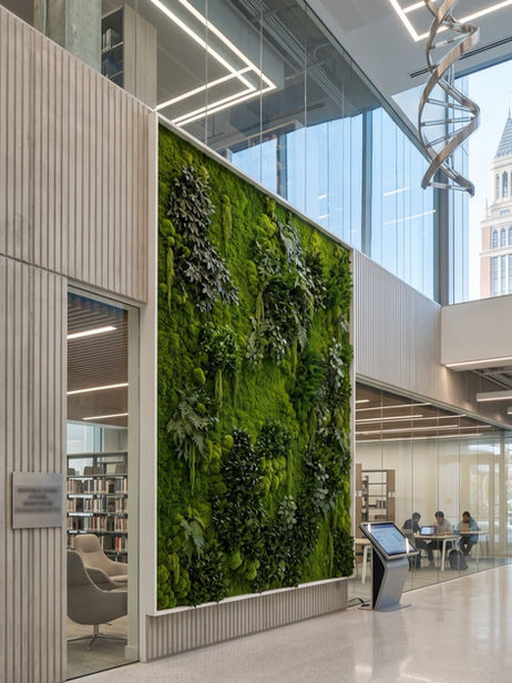 Preserved green wall integrated into a modern higher education learning space with study areas and glass partitions.