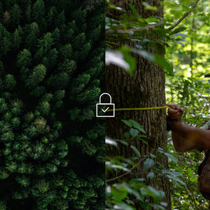 Irreversible Impact—Delivered, Verified, and Guaranteed