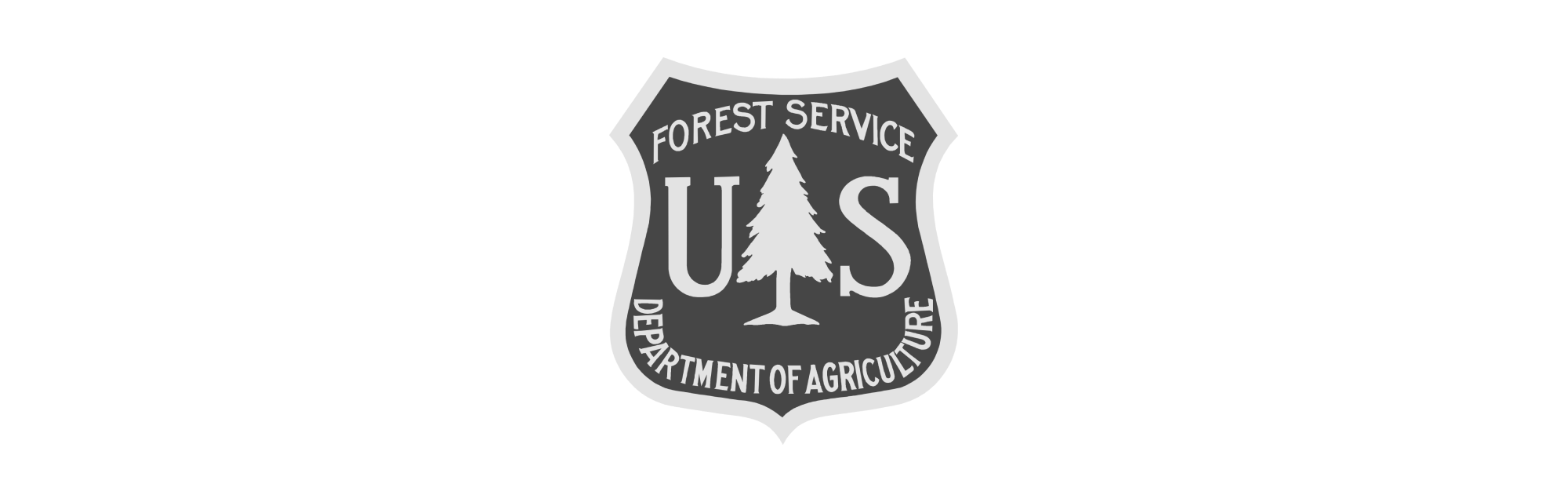 Logo 20.png