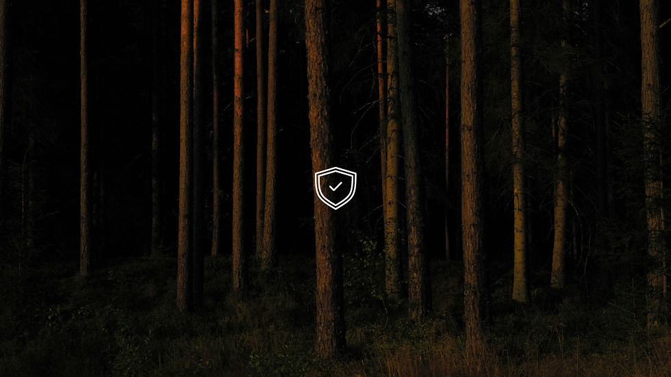 True Credits: A New Standard for Complete and Irreversible Climate Impact