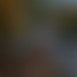 Carbon Revenue That Rewards Stewardship