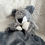 Miniature : Doudou Riou le raton laveur