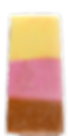 NAPOLITANO