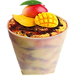 NIEVE MANGONADA 2-5 GALONES.png