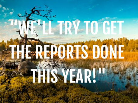 “We’ll Try to Get the Reports Done This Year” – What Happens When Procurement Can’t Lead with Data?