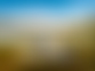 “Procurement Is Focused Only on Operations” – Why This Is Dangerous