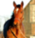 DSCN3229.JPG