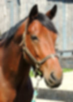 DSCN3363.JPG