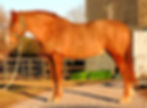 DSCN3214.JPG