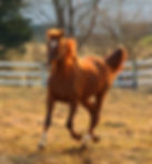 DSCN3156.JPG