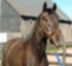 DSCN3409.JPG