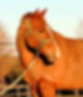 DSCN3209.JPG