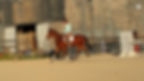 12241396_1470653062982059_4138940374546584070_n