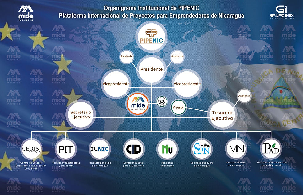 ORGANIGRAMA INSTITUCIONAL PIPENIC2.jpg