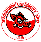 Full size and large resolution.png