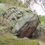 Miniatura: SUESCA  o SUEHICA LA PIEDRA DEL SOL-