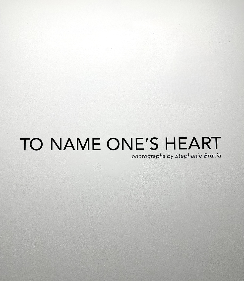 Show title installed in Golden Hind Gallery's main room.