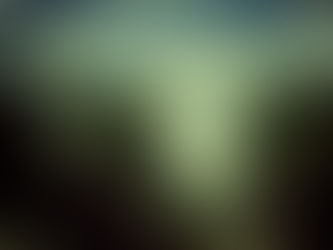 Zimbabwe: Victoria Falls and the Grim Reaper