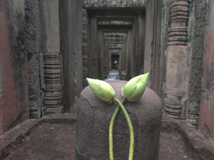 Cambodia: Full Moon Over Angkor