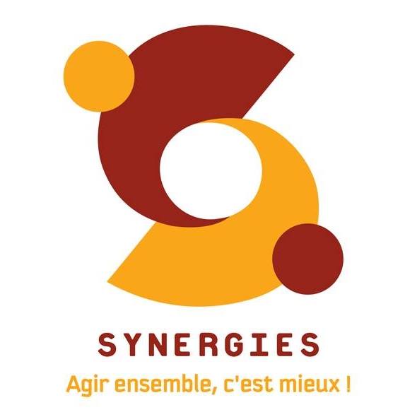 https://www.synergies.site/