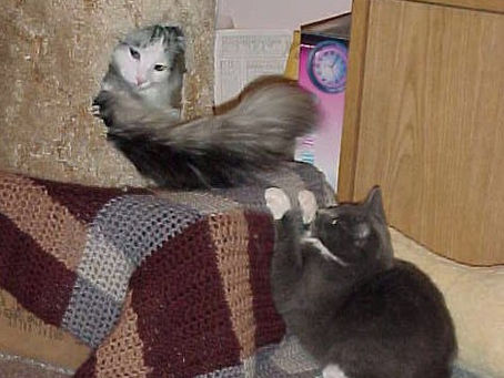 Bitser 0.9.9.8 Keygen Full Version [32|64bit] Latest