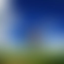 Spring in Asheville—A Local’s Perspective