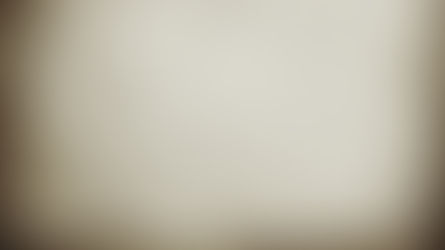 Day 12 - Politically Correct or Biblically True